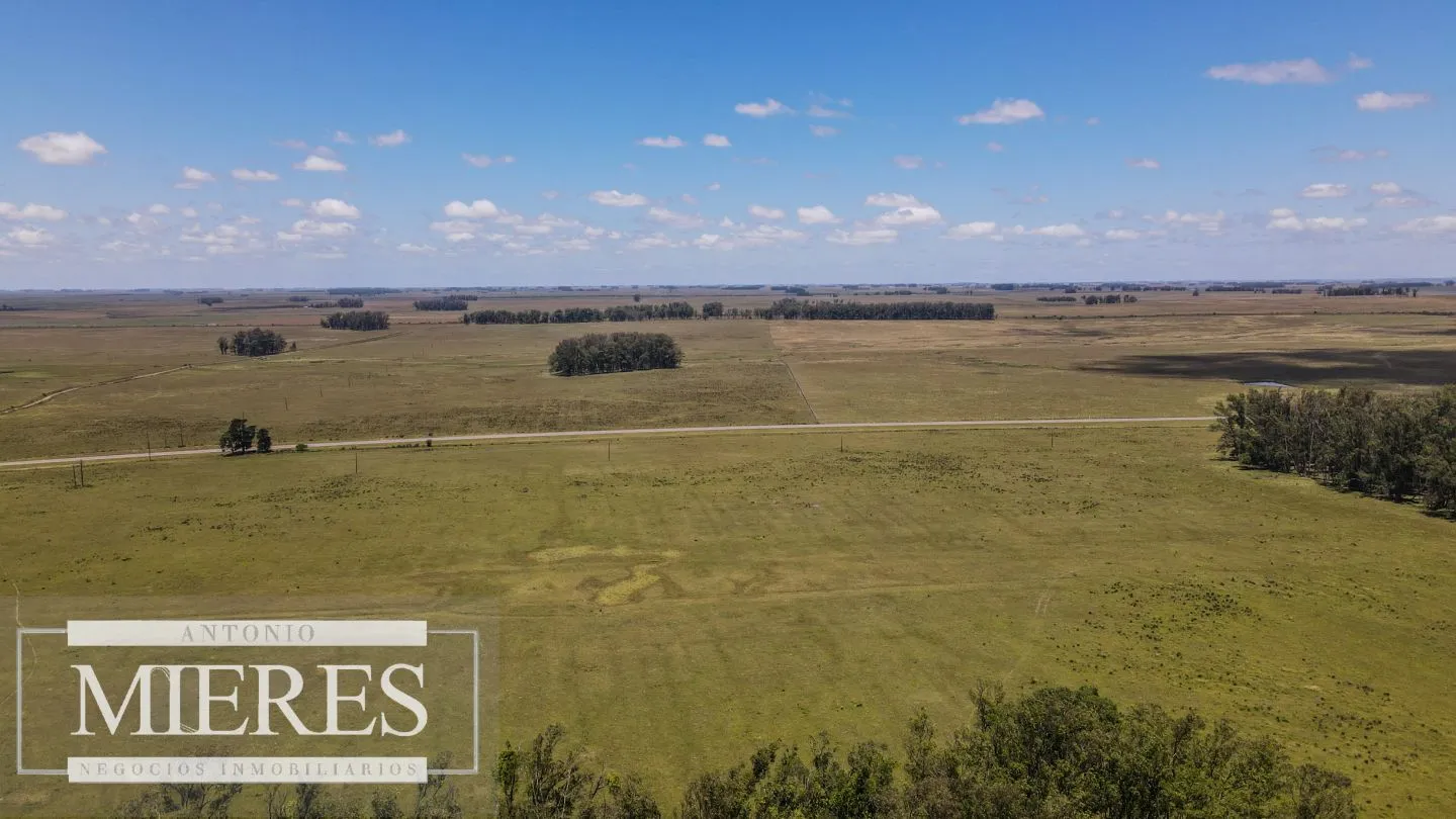 Campo  Ganadero Agrícola de 1200ha en Treinta y Tres — foto 14