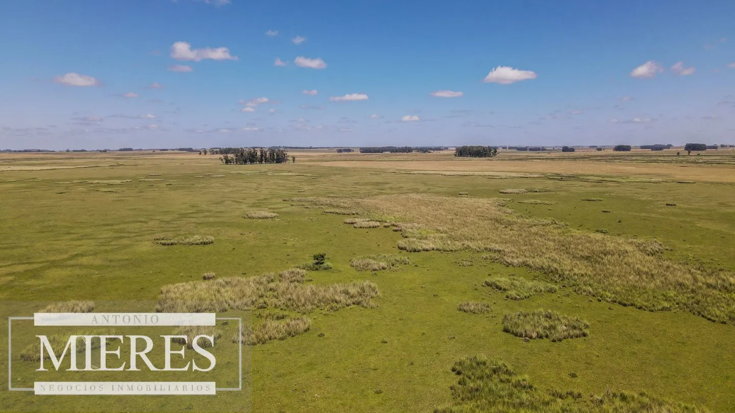 Campo  Ganadero Agrícola de 1200ha en Treinta y Tres — foto 15