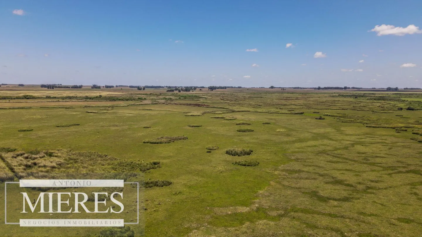 Campo  Ganadero Agrícola de 1200ha en Treinta y Tres — foto 16