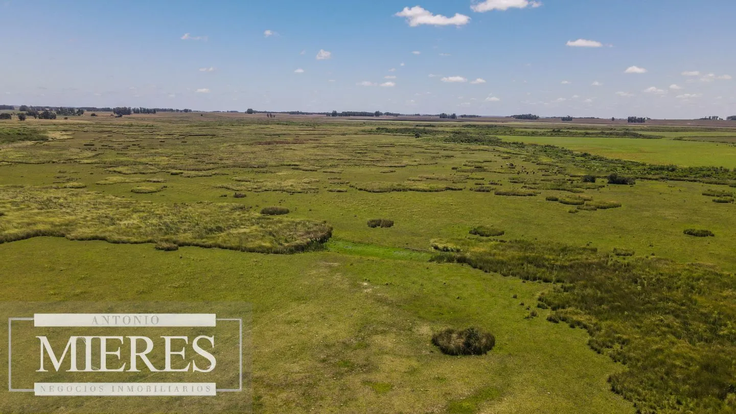 Campo  Ganadero Agrícola de 1200ha en Treinta y Tres — foto 17