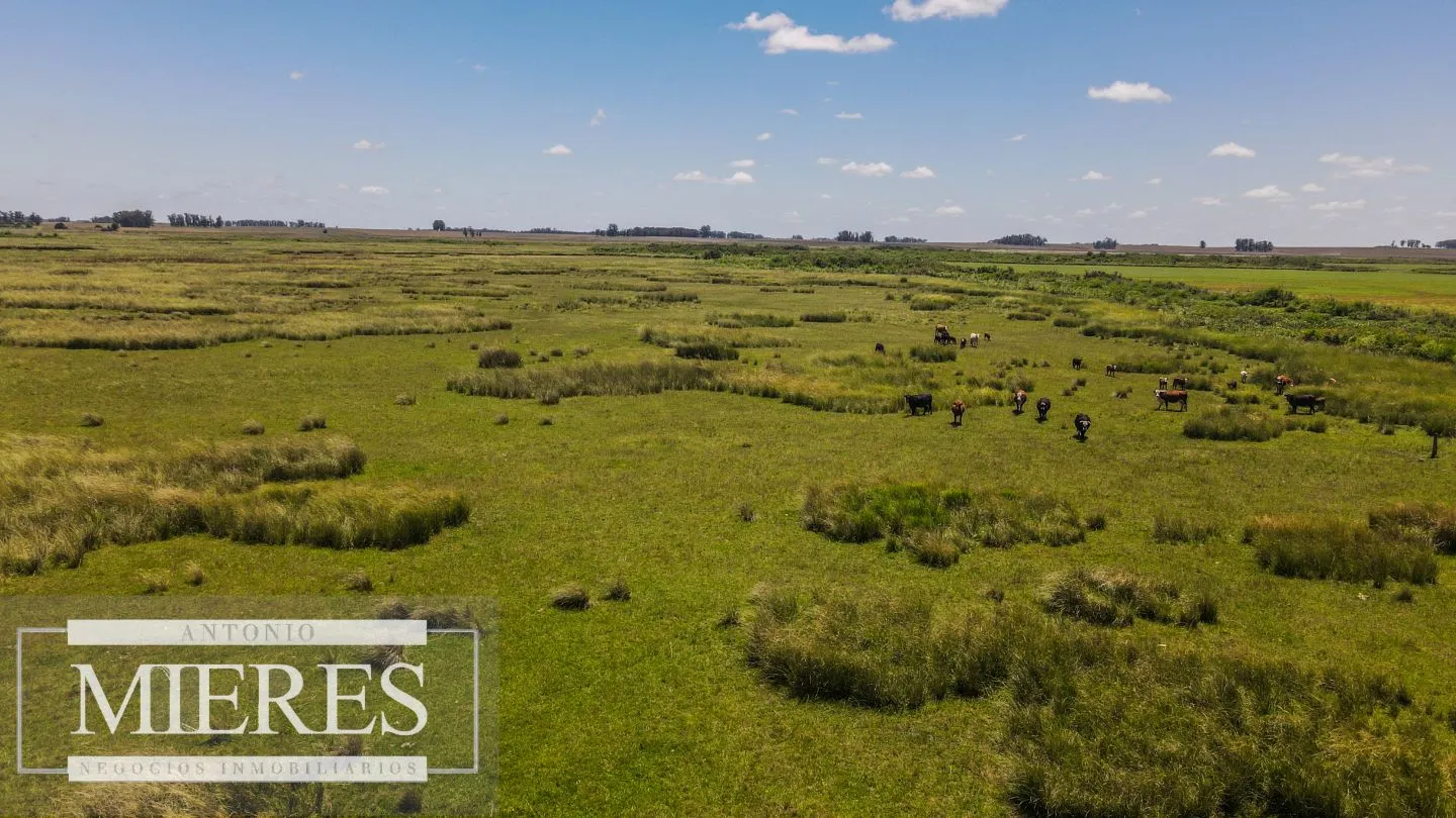 Campo  Ganadero Agrícola de 1200ha en Treinta y Tres — foto 18