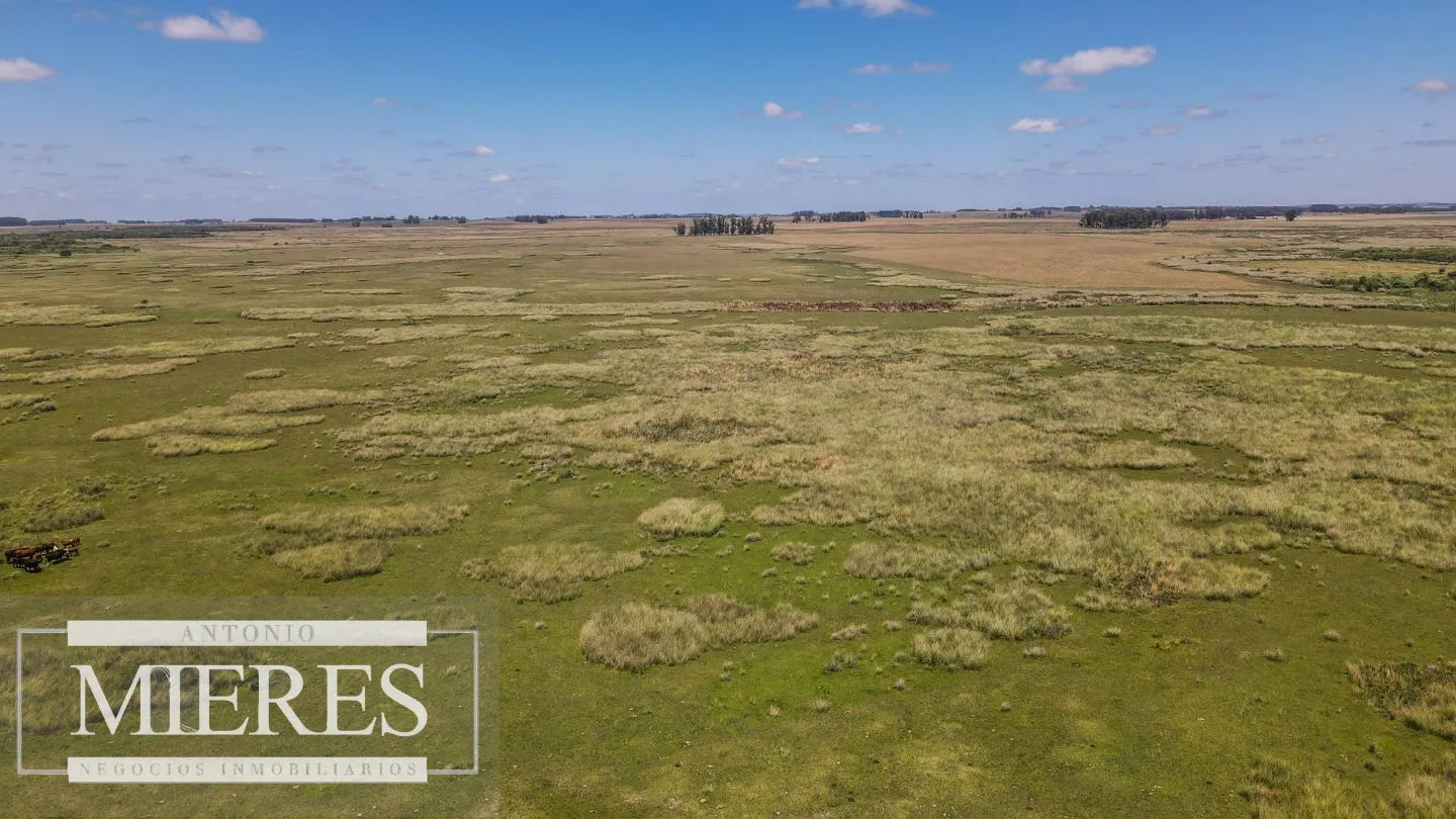 Campo  Ganadero Agrícola de 1200ha en Treinta y Tres — foto 20