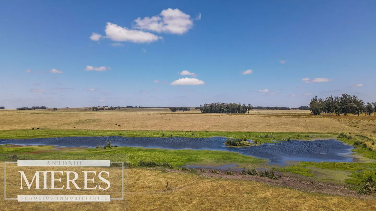 Campo  Ganadero Agrícola de 1200ha en Treinta y Tres — foto 21