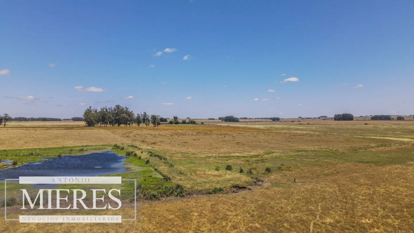 Campo  Ganadero Agrícola de 1200ha en Treinta y Tres — foto 22