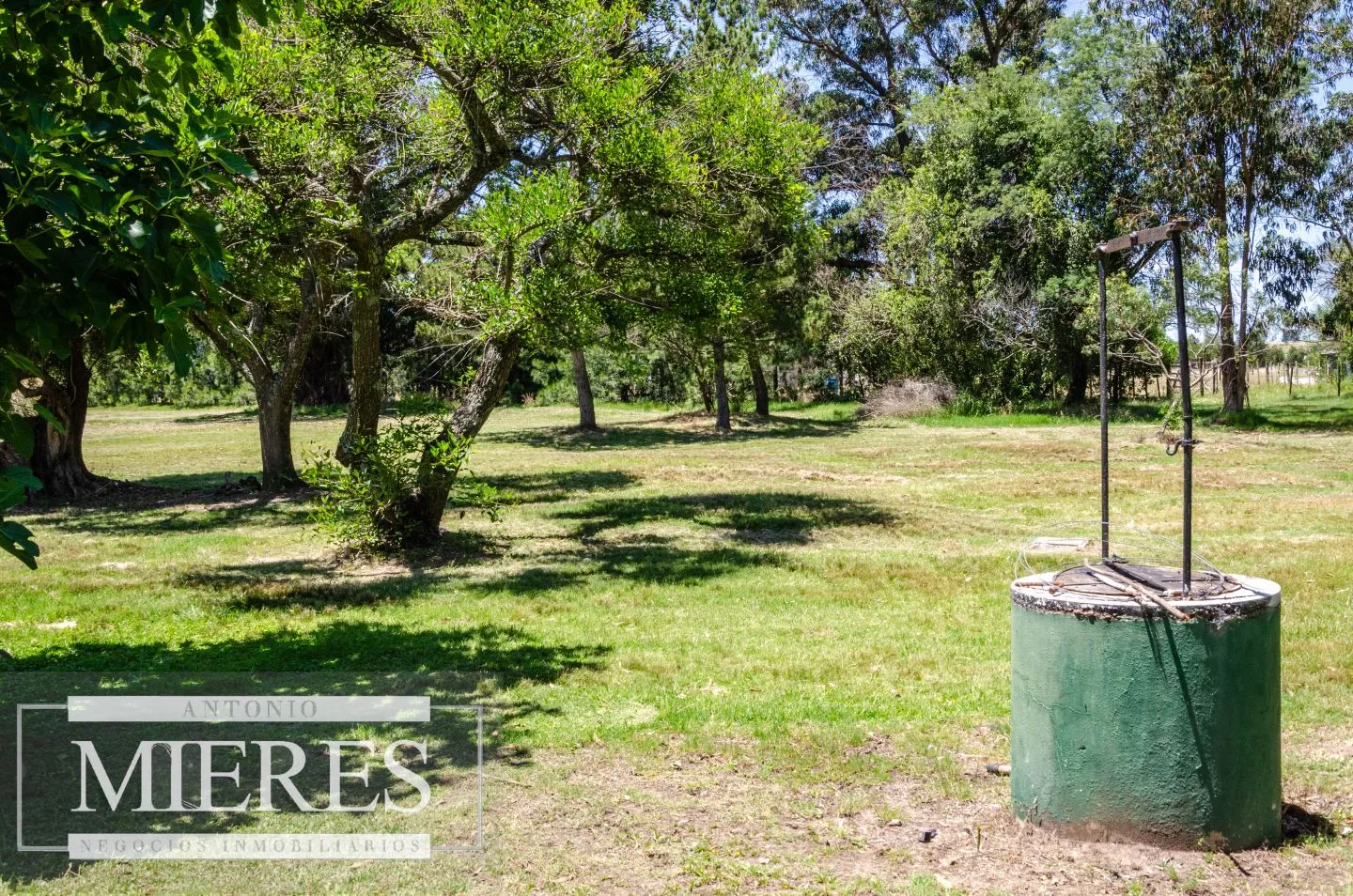 Chacra / Campo 14 ha en Jose Ignacio — foto 17