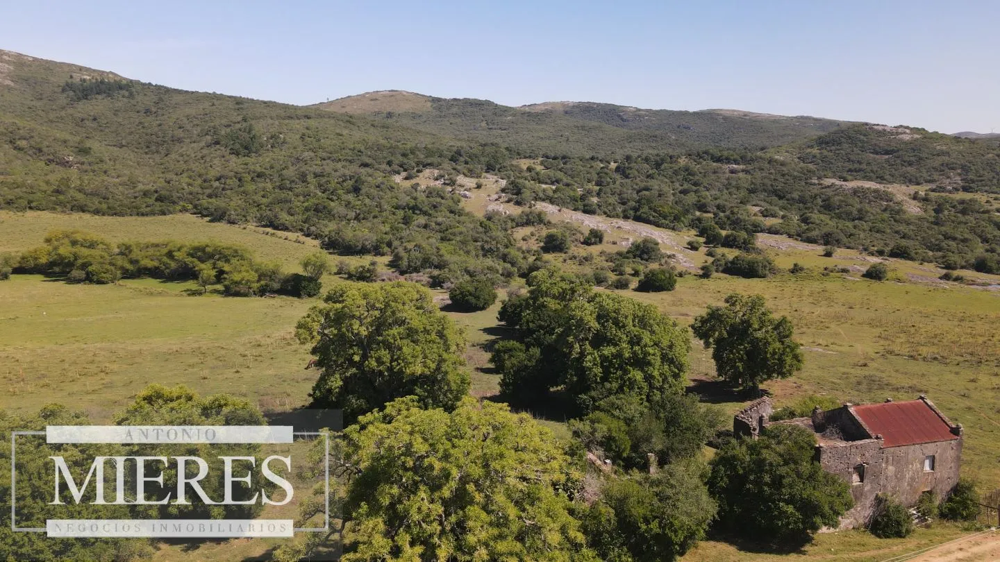 Campo en venta 173 ha en Aguas Blancas — foto 1