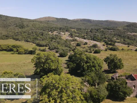 Campo en venta 173 ha en Aguas Blancas