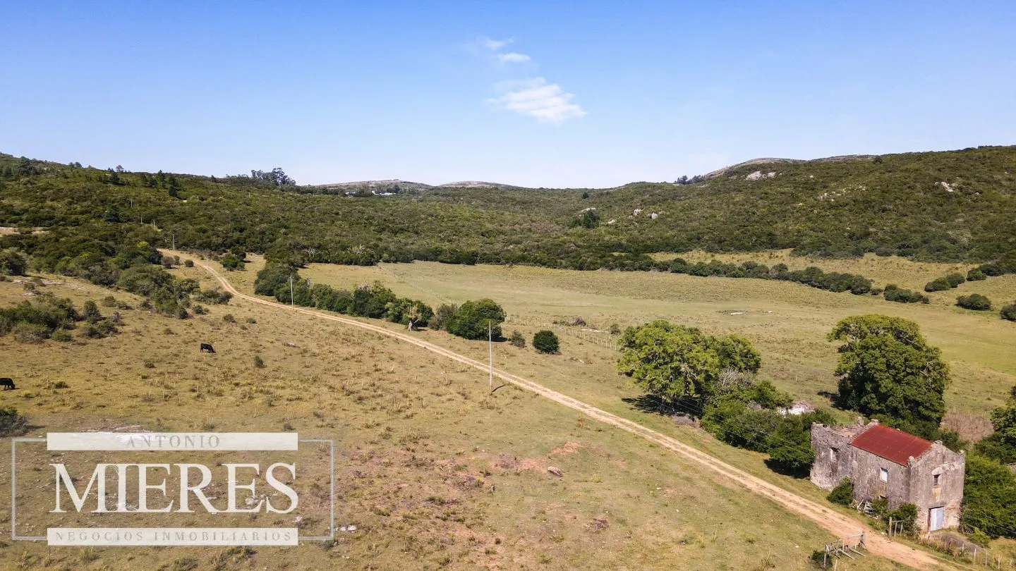 Campo en venta 173 ha en Aguas Blancas — foto 2