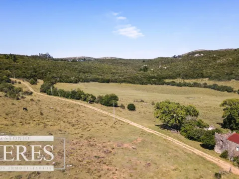 Campo en venta 173 ha en Aguas Blancas — foto 2
