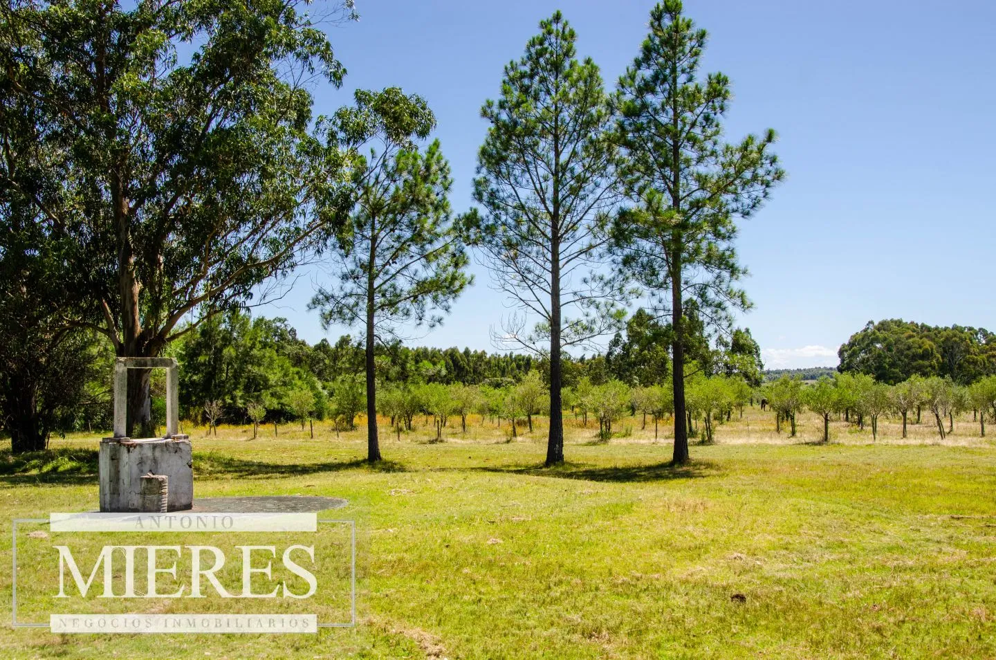 Chacra / Campo 14 ha en Jose Ignacio — foto 22