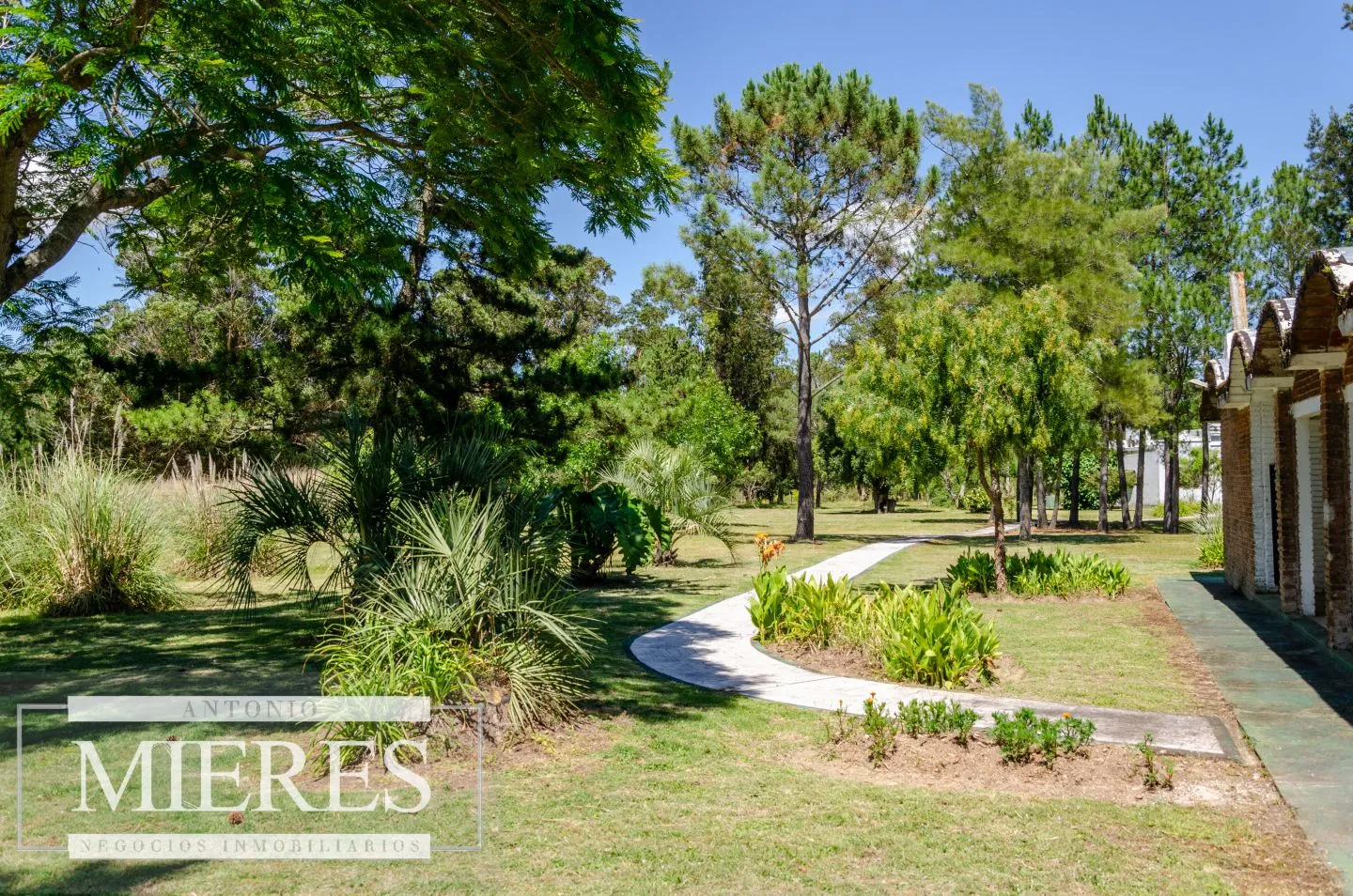 Chacra / Campo 14 ha en Jose Ignacio — foto 23