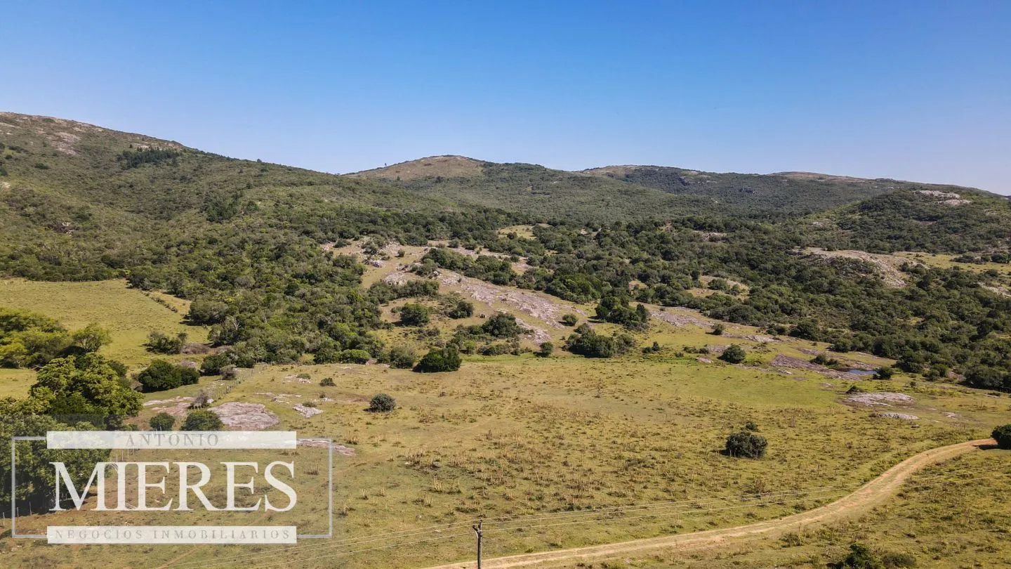 Campo en venta 173 ha en Aguas Blancas — foto 3
