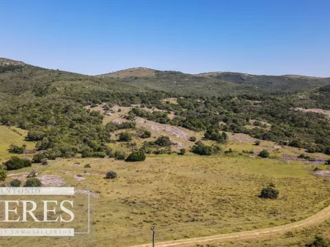 Campo en venta 173 ha en Aguas Blancas — foto 3