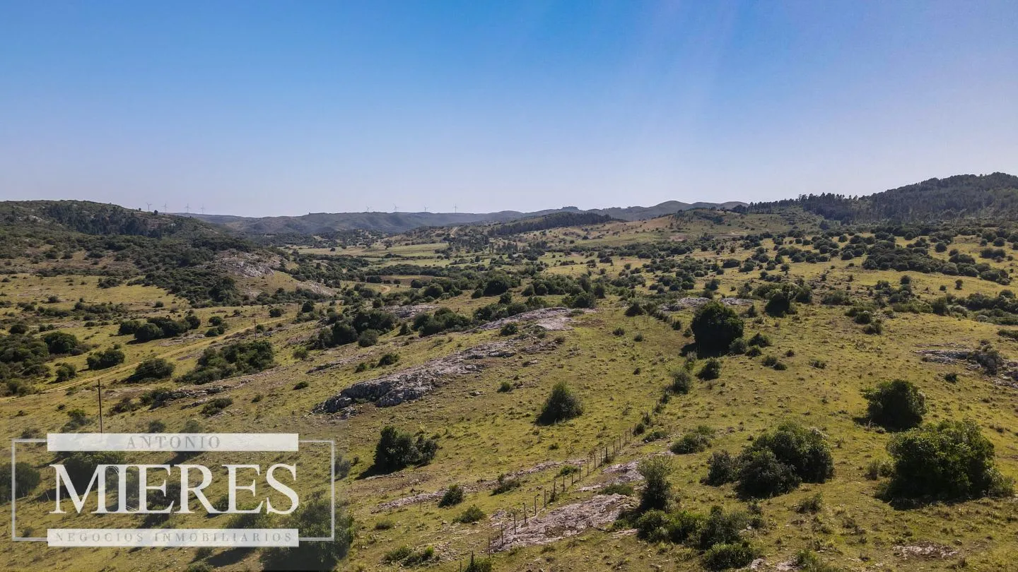 Campo en venta 173 ha en Aguas Blancas — foto 4