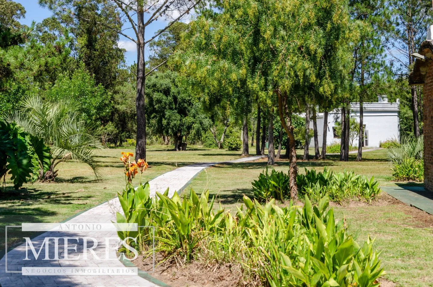 Chacra / Campo 14 ha en Jose Ignacio — foto 24