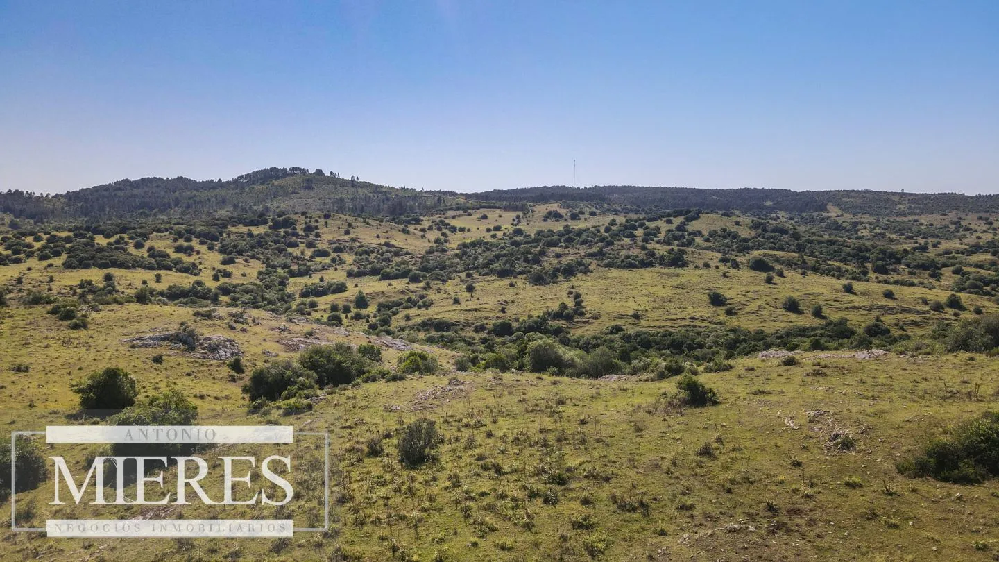 Campo en venta 173 ha en Aguas Blancas — foto 5
