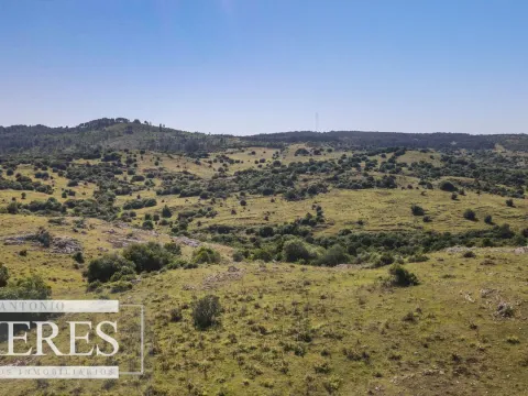 Campo en venta 173 ha en Aguas Blancas — foto 5