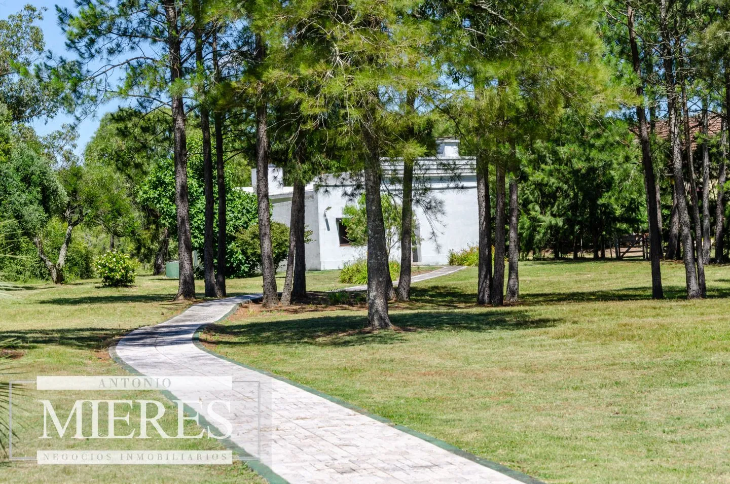 Chacra / Campo 14 ha en Jose Ignacio — foto 25
