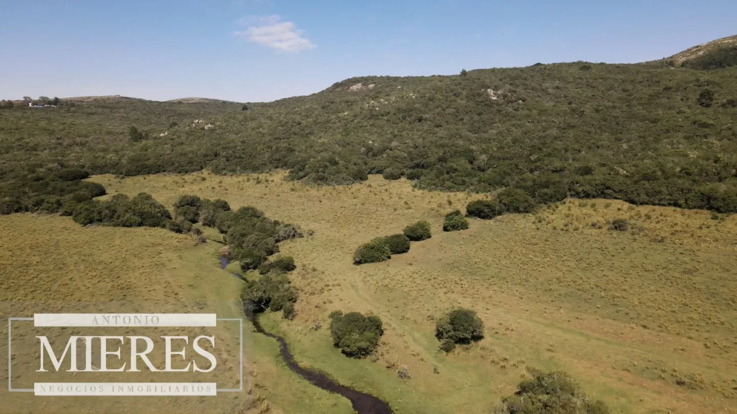 Campo en venta 173 ha en Aguas Blancas — foto 6