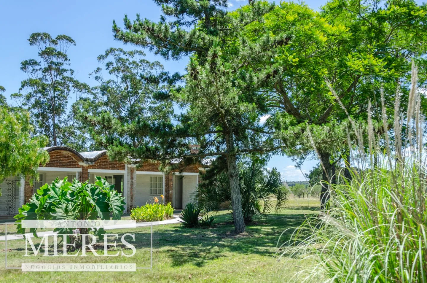 Chacra / Campo 14 ha en Jose Ignacio — foto 26