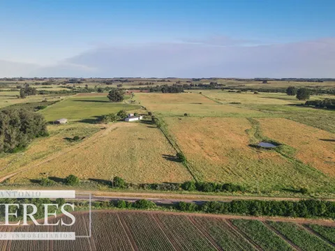Chacra de 34ha con casa y arroyo en Maldonado — foto 3