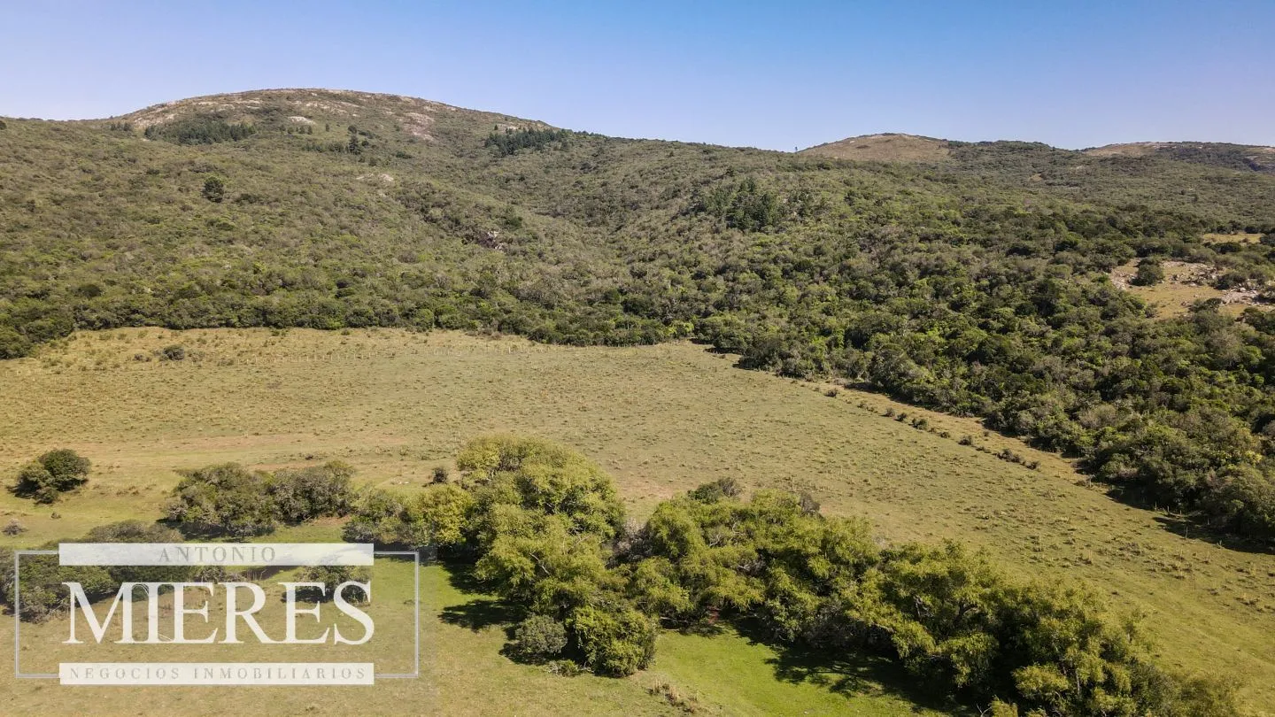 Campo en venta 173 ha en Aguas Blancas — foto 8