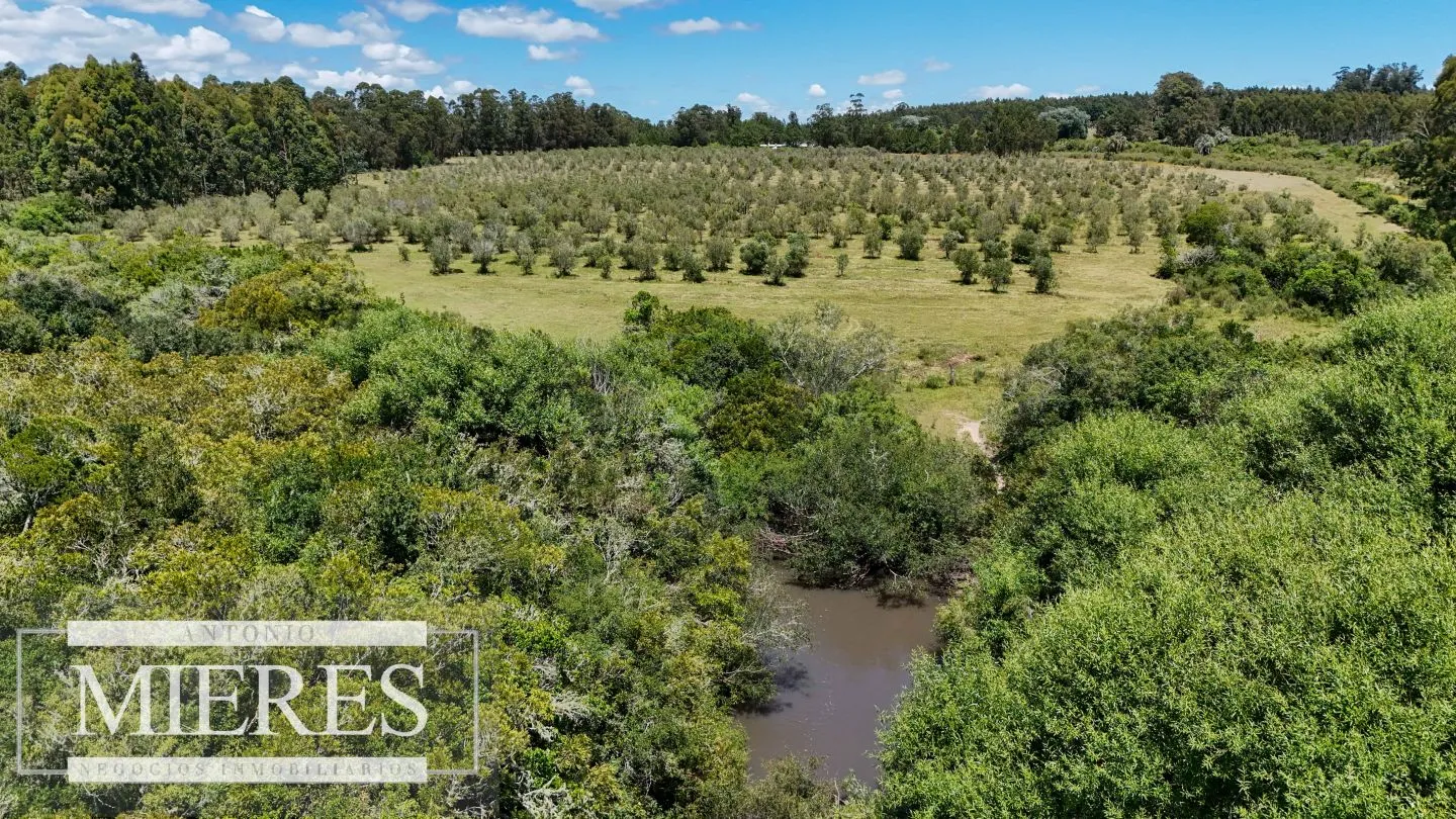 Chacra / Campo 14 ha en Jose Ignacio — foto 27