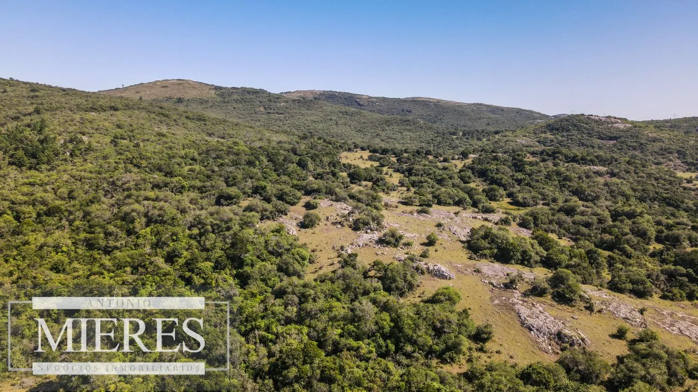 Campo en venta 173 ha en Aguas Blancas — foto 9
