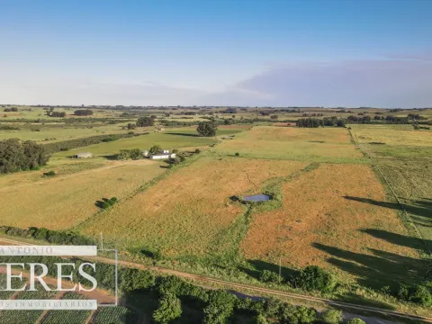 Chacra de 34ha con casa y arroyo en Maldonado — foto 4