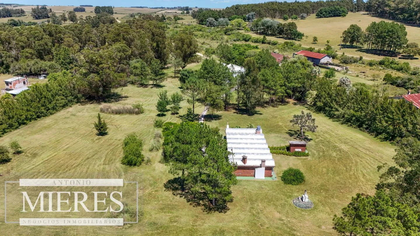Chacra / Campo 14 ha en Jose Ignacio — foto 28