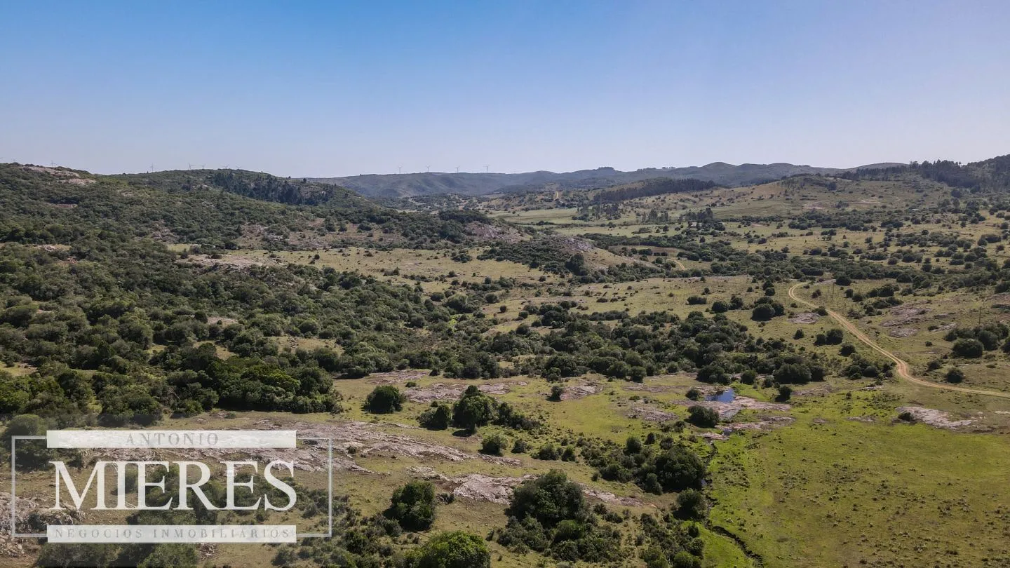 Campo en venta 173 ha en Aguas Blancas — foto 10