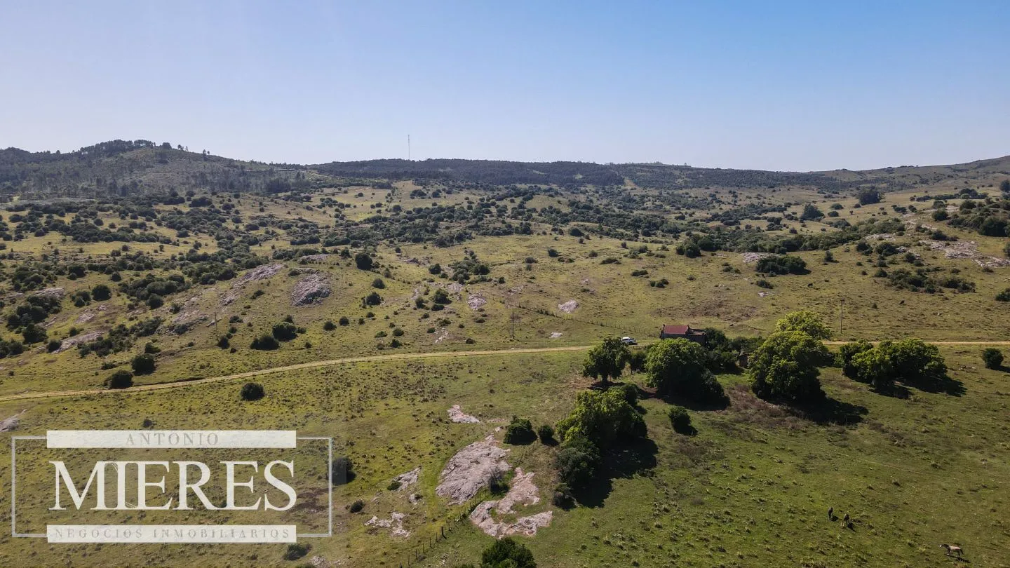 Campo en venta 173 ha en Aguas Blancas — foto 11