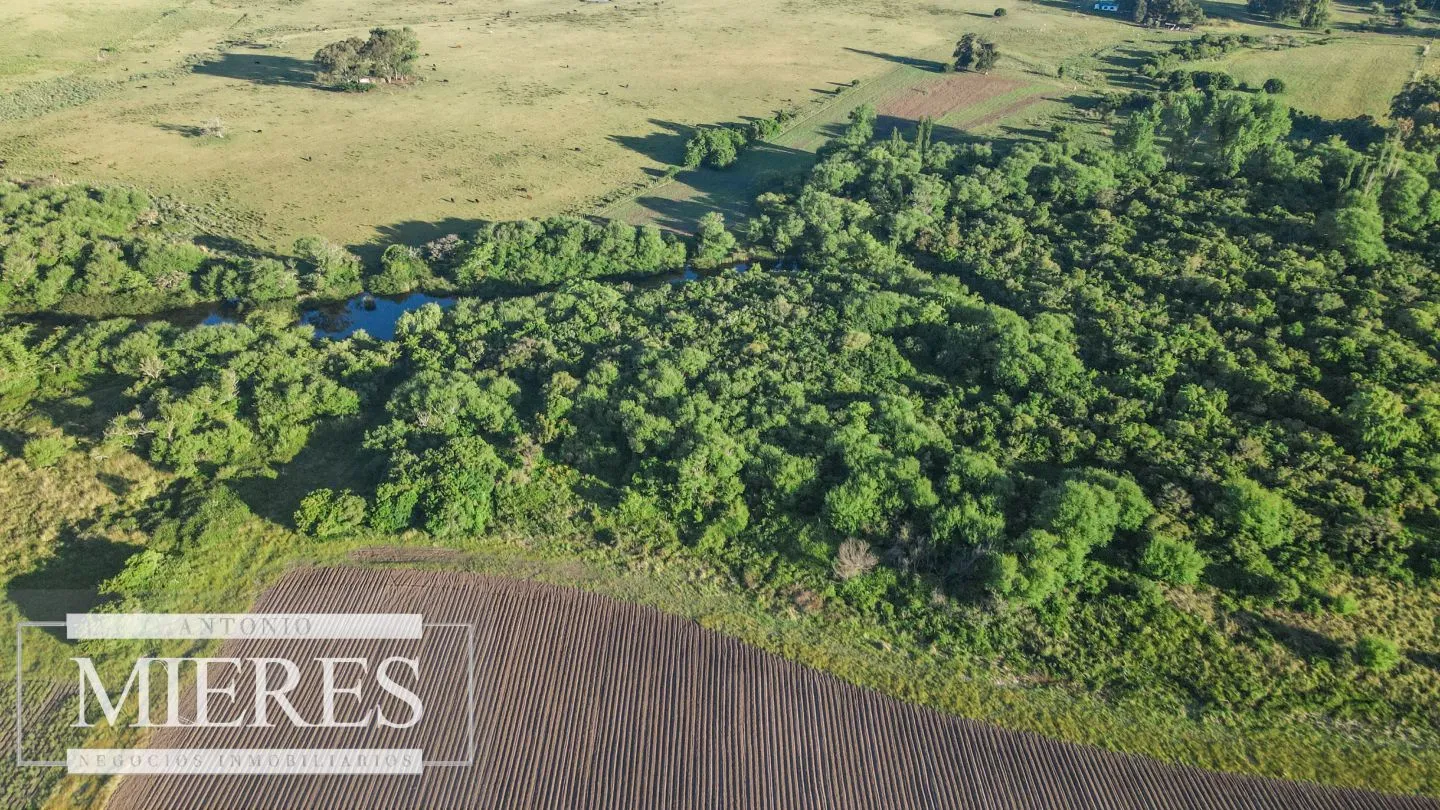 Chacra de 34ha con casa y arroyo en Maldonado — foto 6
