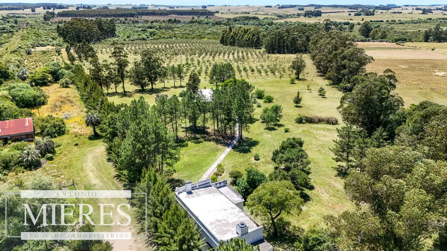 Chacra / Campo 14 ha en Jose Ignacio — foto 30