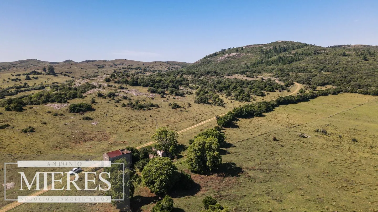 Campo en venta 173 ha en Aguas Blancas — foto 12