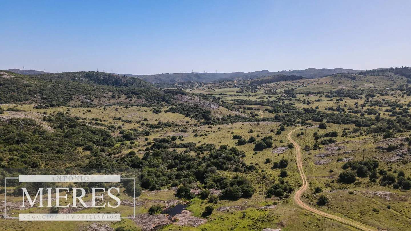 Campo en venta 173 ha en Aguas Blancas — foto 13