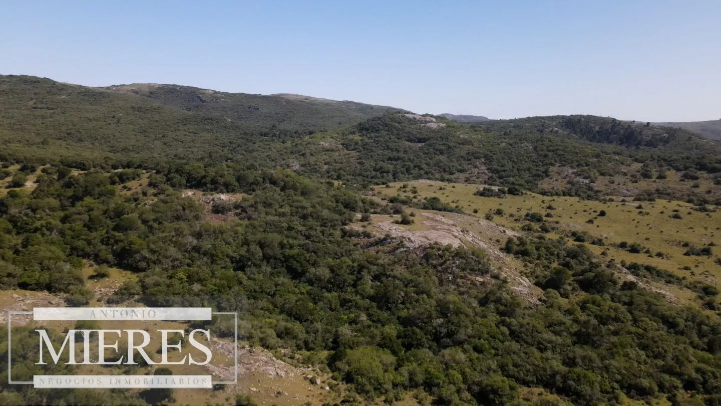 Campo en venta 173 ha en Aguas Blancas — foto 14