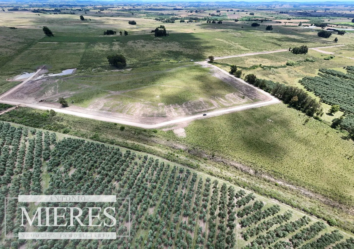 Venta de chacras de 3 has en San Carlos, Maldonado — foto 4