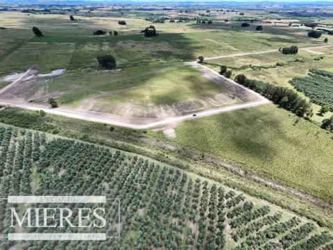Venta de chacras de 3 has en San Carlos, Maldonado — foto 4