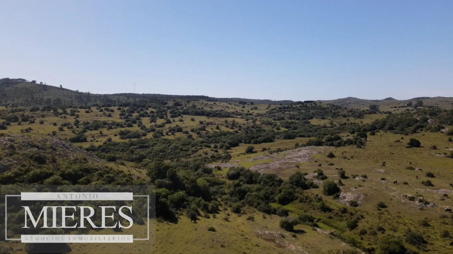 Campo en venta 173 ha en Aguas Blancas — foto 16