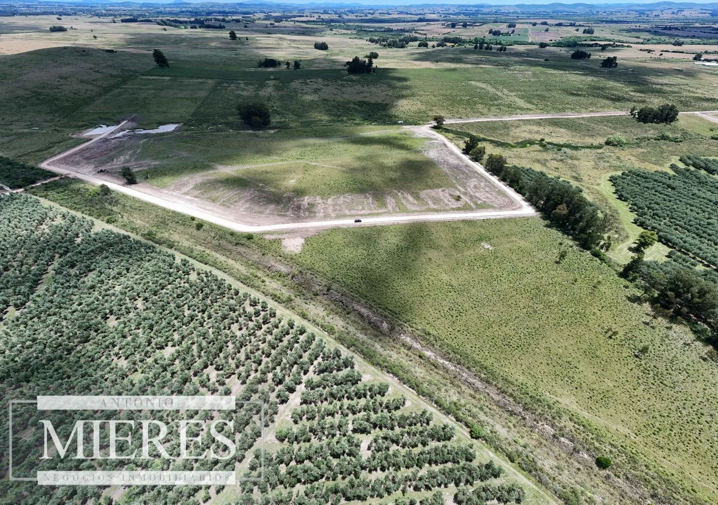 Venta de chacras de 3 has en San Carlos, Maldonado — foto 5