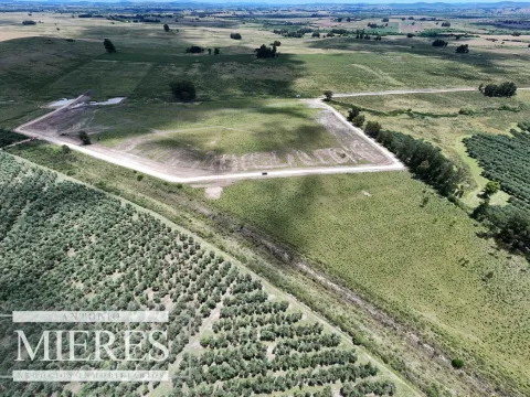 Venta de chacras de 3 has en San Carlos, Maldonado — foto 5