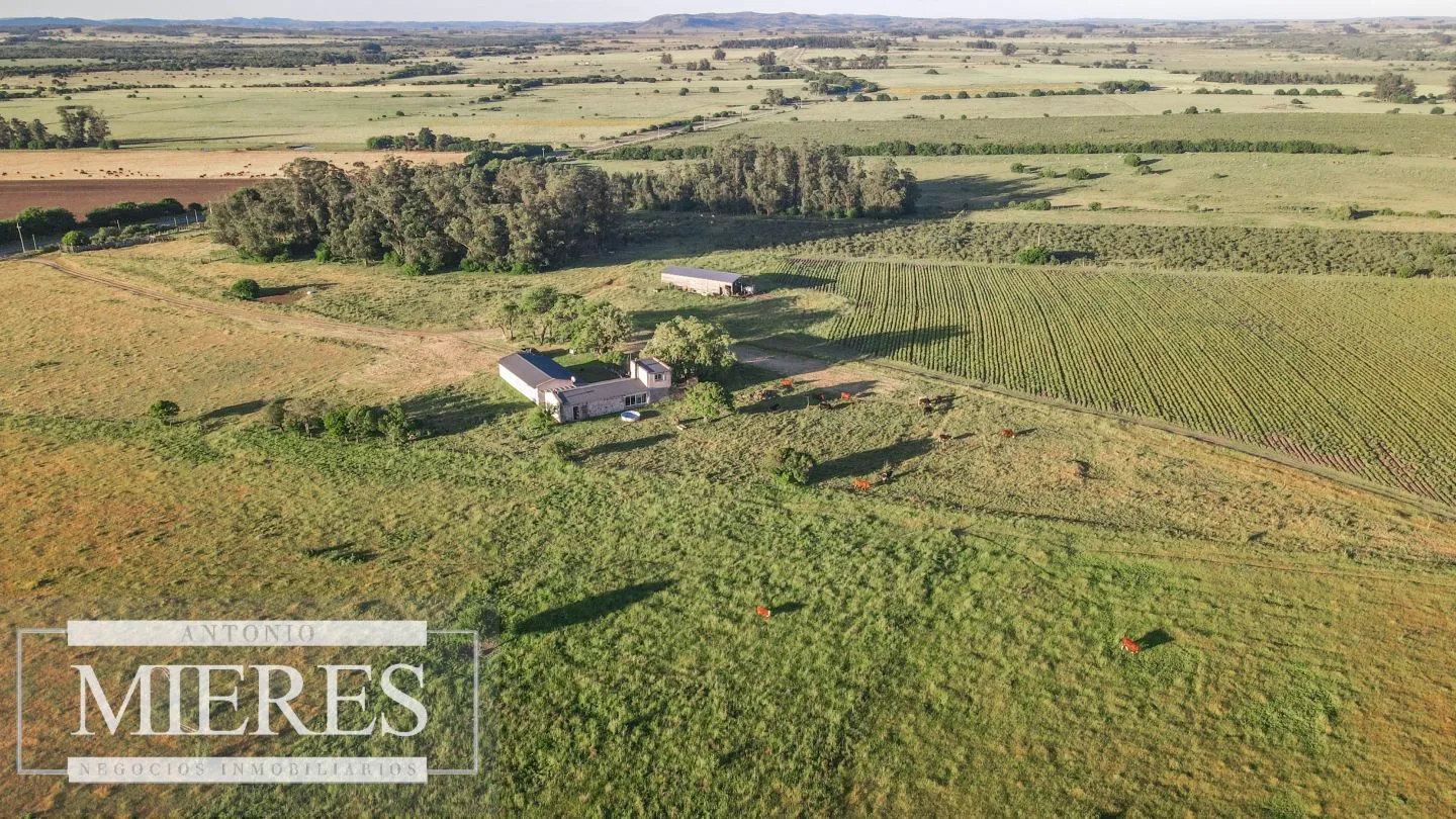 Chacra de 34ha con casa y arroyo en Maldonado — foto 14