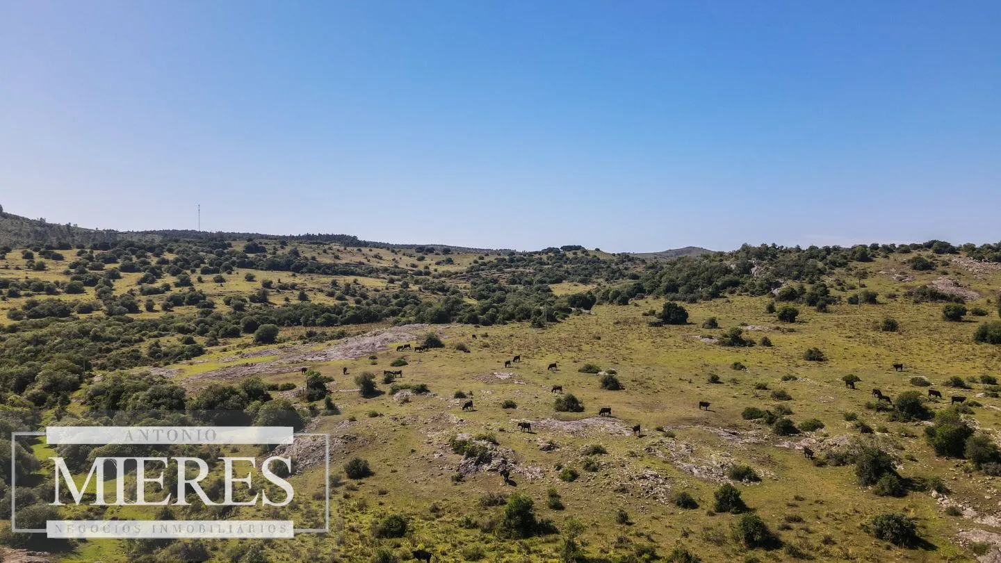 Campo en venta 173 ha en Aguas Blancas — foto 21