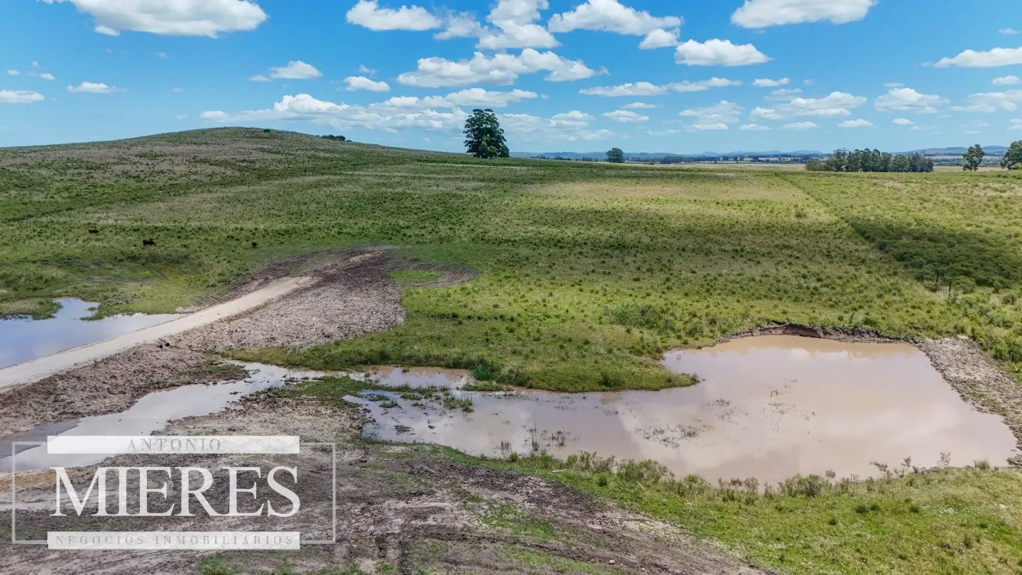 Venta de chacras de 3 has en San Carlos, Maldonado — foto 8