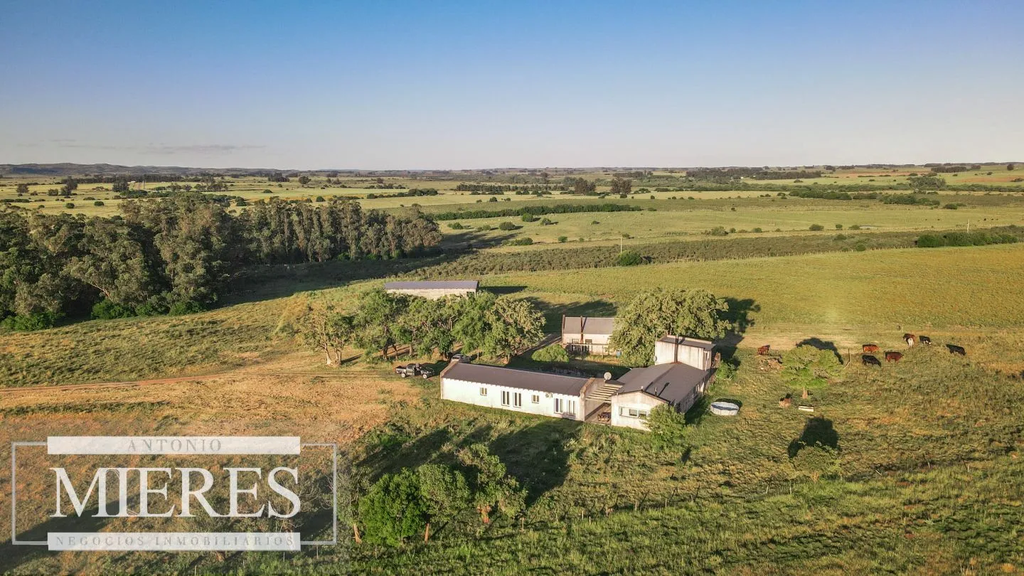 Chacra de 34ha con casa y arroyo en Maldonado — foto 16