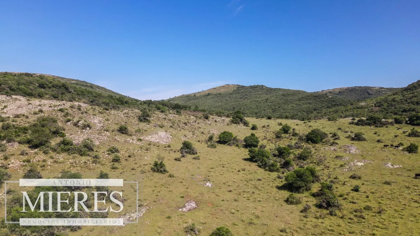 Campo en venta 173 ha en Aguas Blancas — foto 23
