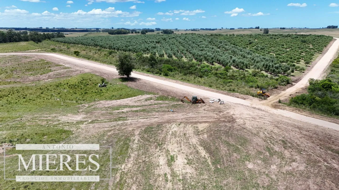Venta de chacras de 3 has en San Carlos, Maldonado — foto 10