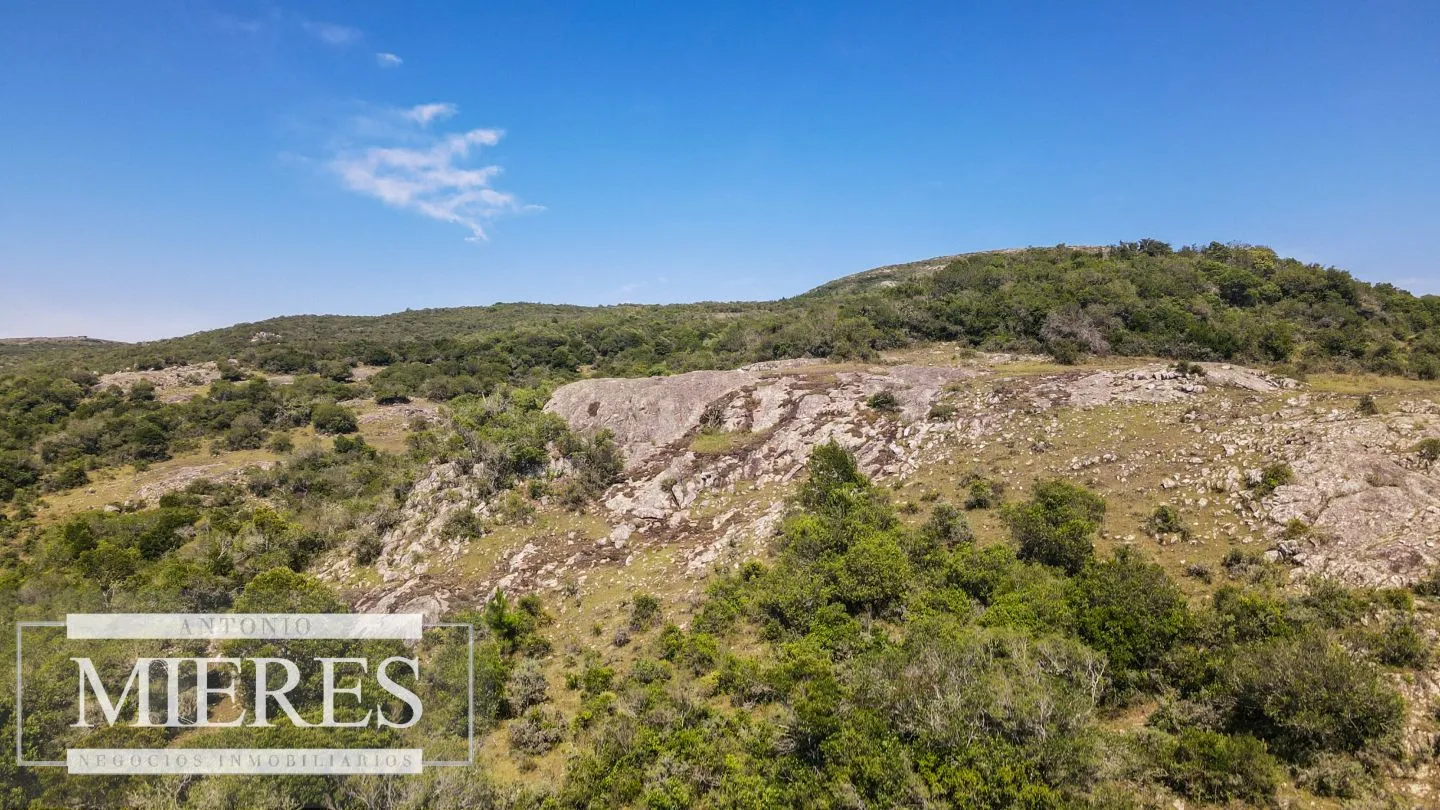 Campo en venta 173 ha en Aguas Blancas — foto 24