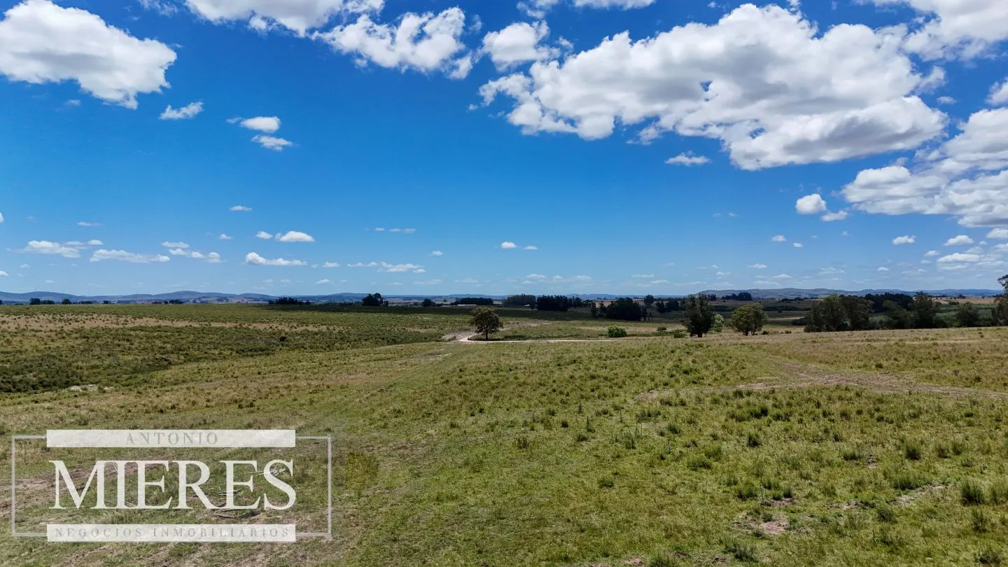 Venta de chacras de 3 has en San Carlos, Maldonado — foto 11